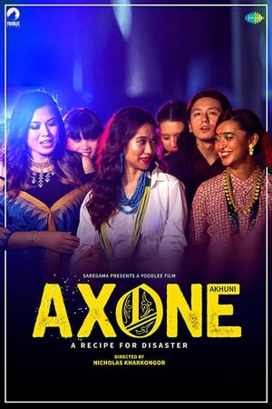 Axone 2019 Hindi Movie 480p HDRip – [300MB] - Movierulz