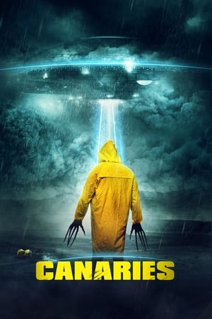 Canaries (2017) Hindi Dual Audio 480p WebRip 300MB - Movierulz