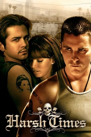 Harsh Times 2005 Hindi Dual Audio HDRip 720p – 480p - Movierulz