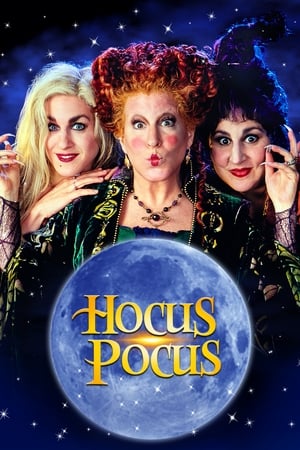 Hocus Pocus 1993 Hindi Dual Audio 480p BluRay 320MB - Movierulz