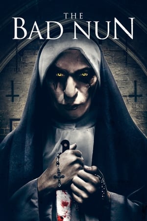 The Bad Nun 2018 Hindi Dual Audio 480p HDRip 300MB - Movierulz